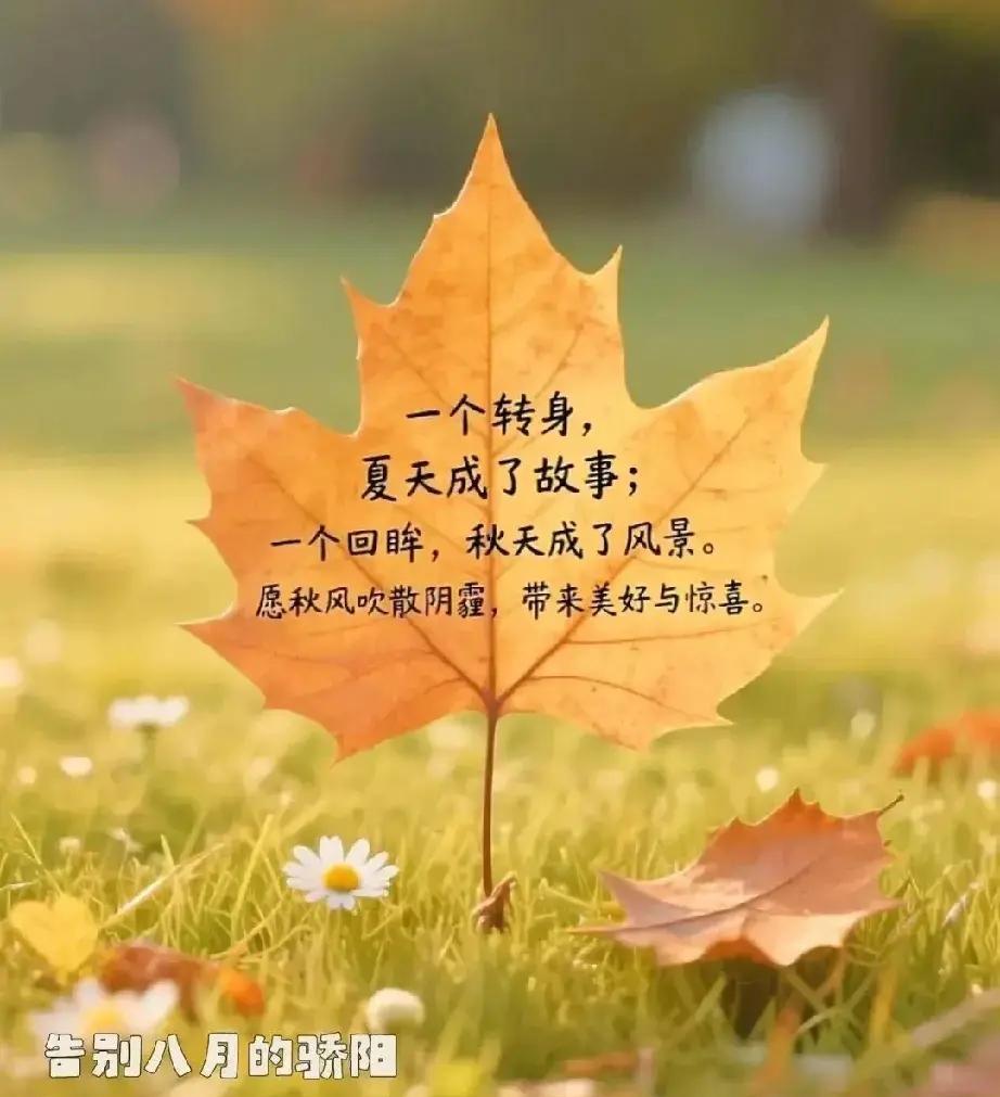 白露时节更清凉
朝露晶莹映秋阳
黄叶飘飘秋意浓
青山绿水雁南翔
秋意浓郁风云淡