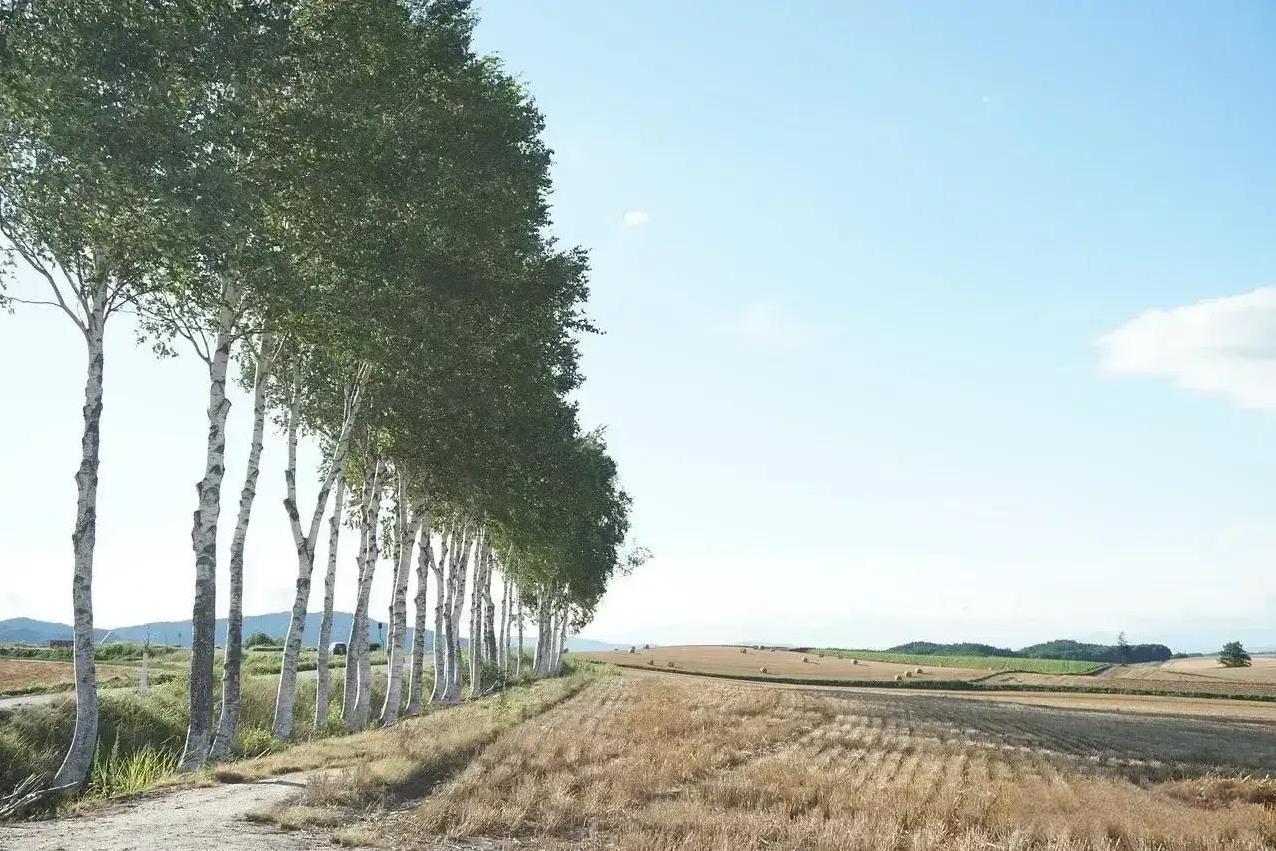 发现了吗？有的人天生就是命好。
我们邻村一个女的，年轻时长的又胖又矮，人还不怎么