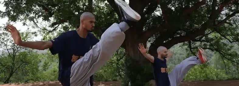 文班亚马学到精髓了

马刺新星文班亚马近日接受采访时谈到了在少林寺闭关修炼的