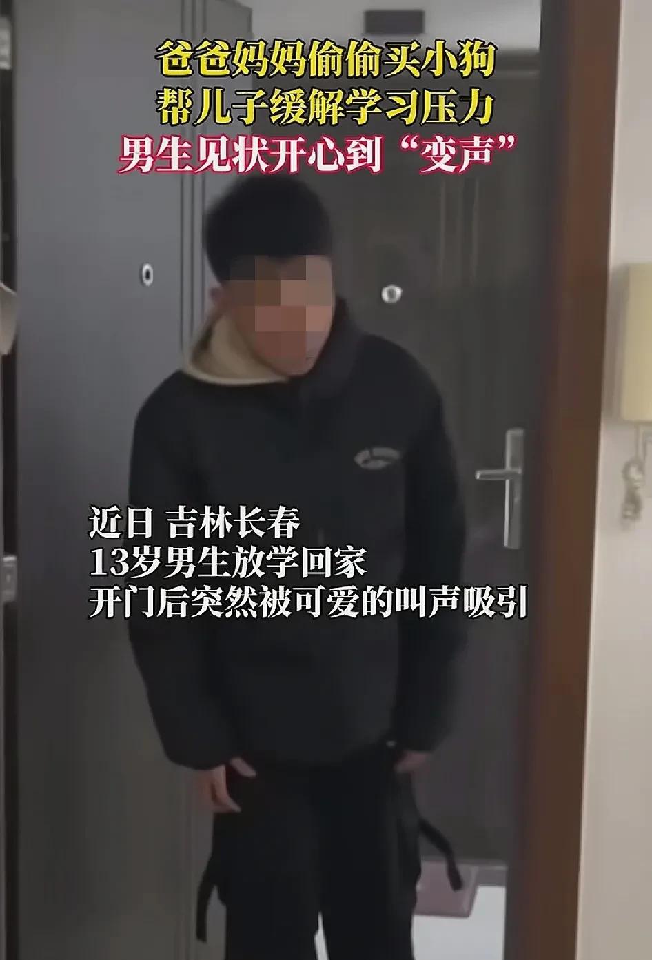 长春市一对父母为了缓解儿子的学习压力，偷偷地给儿子买了心仪的宠物狗，当儿子打开门
