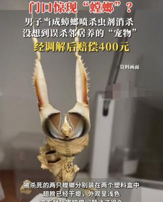 浙江杭州，一男子见自家门口有两只蟑螂。没多想，就用杀虫剂将蟑螂消杀。岂料，邻居找