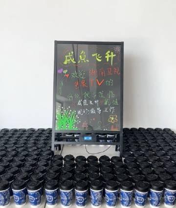 湖南卫视芒果tv的领导请王鹤棣《咸鱼飞升》剧组喝饮料了，王鹤棣还给群演买了咖啡