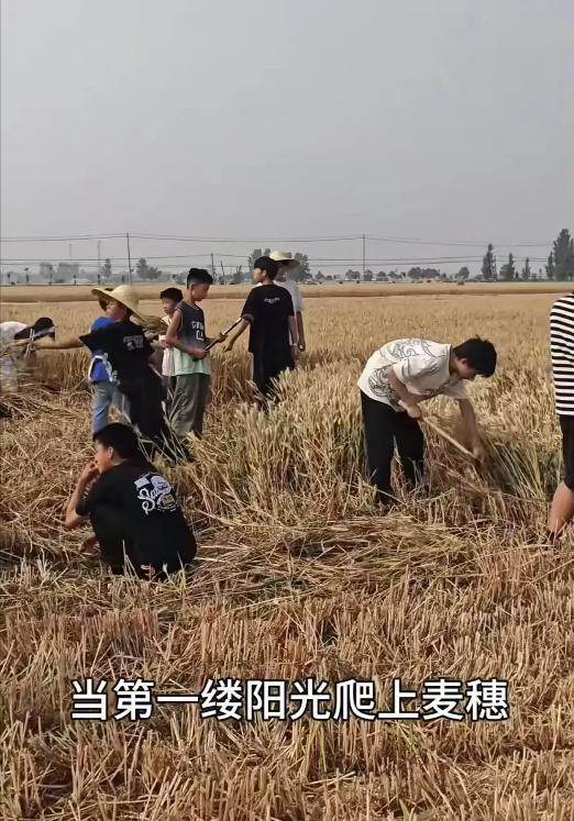 凌晨五点，天色刚亮，孩子们还沉浸在甜美的梦乡之中，就被校长从睡梦中硬生生地喊了起
