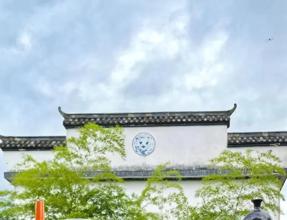 乌克兰一直炒作我们雇佣兵是啥意思，你觉得我们参加了？我们参加了俄罗斯会是这个水平