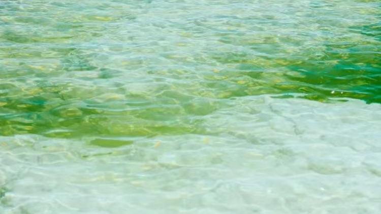 2026年每日通盛及生肖运势1月1日