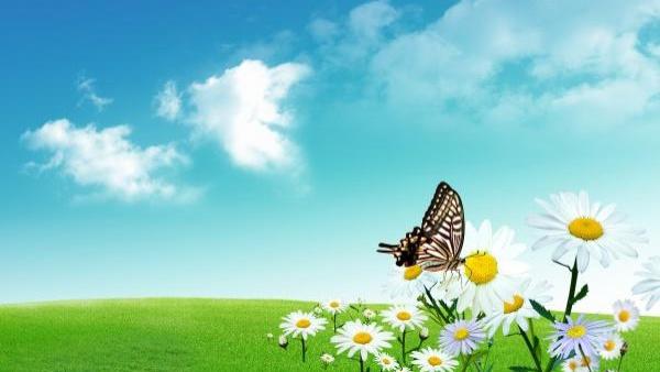 十二星座七月星运简述