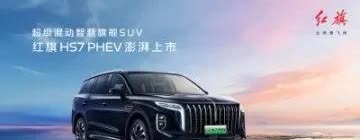 有专家预测未来国产车企品牌估计只剩下这5家：
1、比亚迪，可能性占比99%
