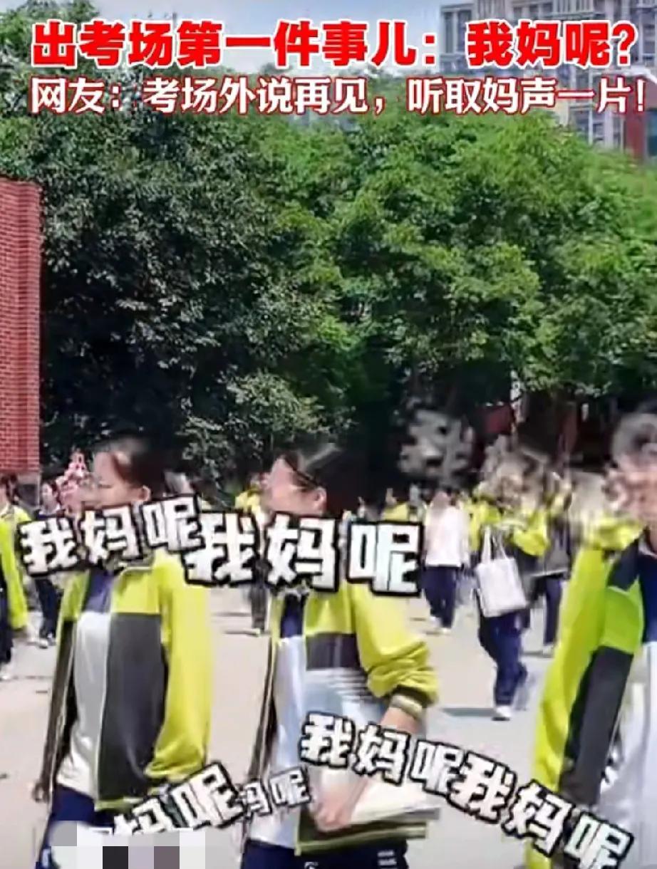 不管什么时候，只要有妈妈的地方，孩子们第一个先找的都会是妈妈，因为他们知道，只有
