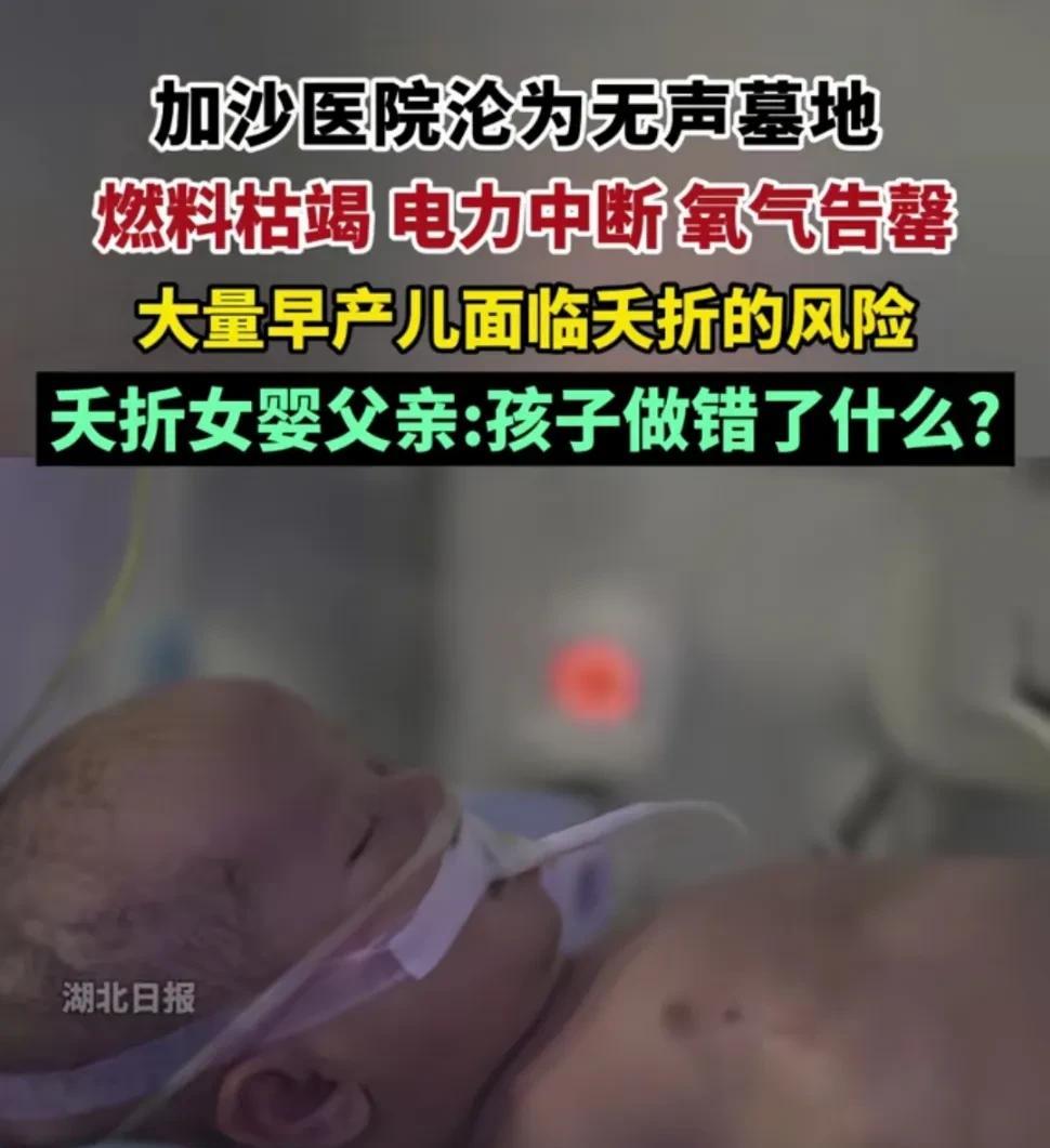 生存的权利和尊严的获得，唯有自己奋起反抗，但是事到如今，生活在加沙的人们，反击还