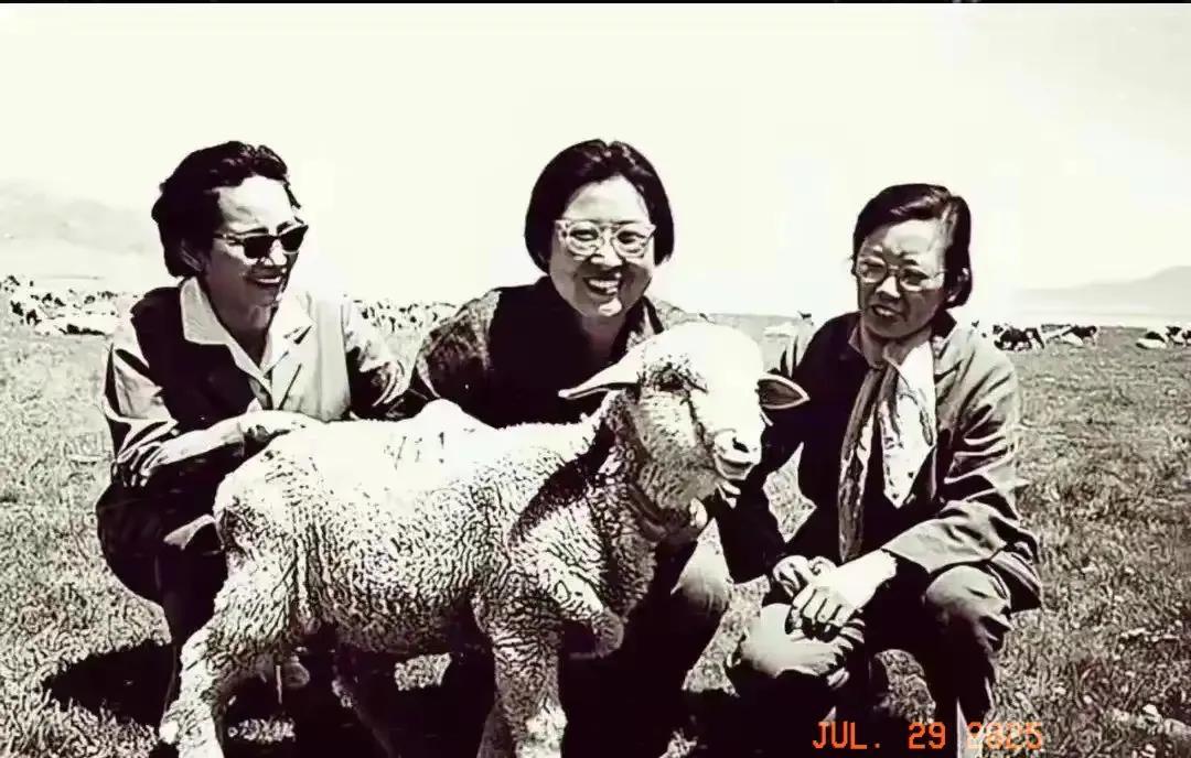 珍贵的老照片分享。
1973年，画面中李敏，毛泽东的女儿，李先念的夫人林佳楣，赛