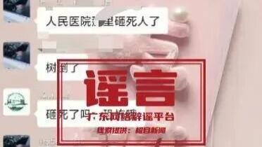 广东茂名台风天外卖小哥被树砸死？官方辟谣：系谣言，2 人已被行拘