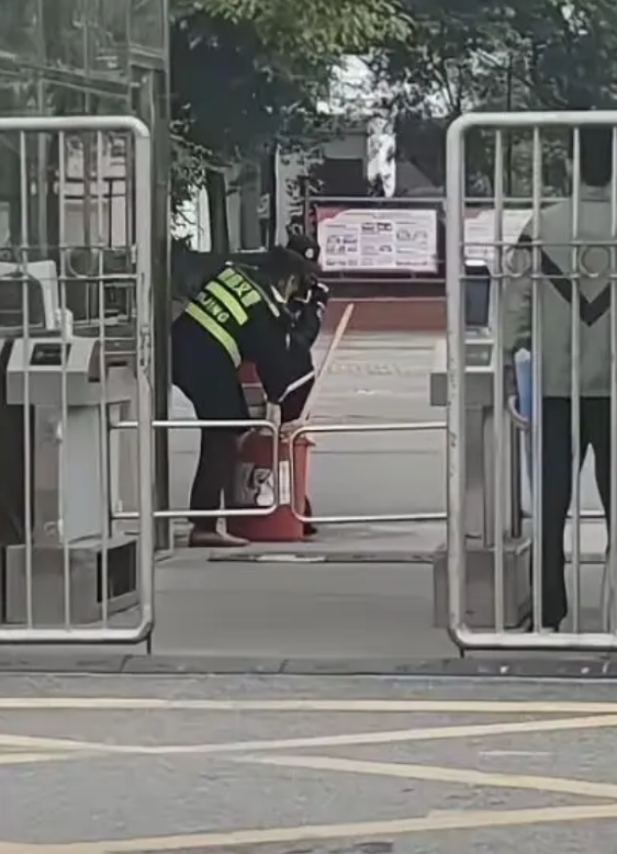 杀就是杀，别动不动就说是“虐杀”。
保安把侵入校园的流浪狗抓住、杀死，保障在校的