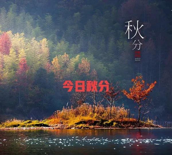 秋分这天阴雨连绵，让人忍不住担心今年冬天是不是会很冷。老祖宗留下不少农谚，像“秋