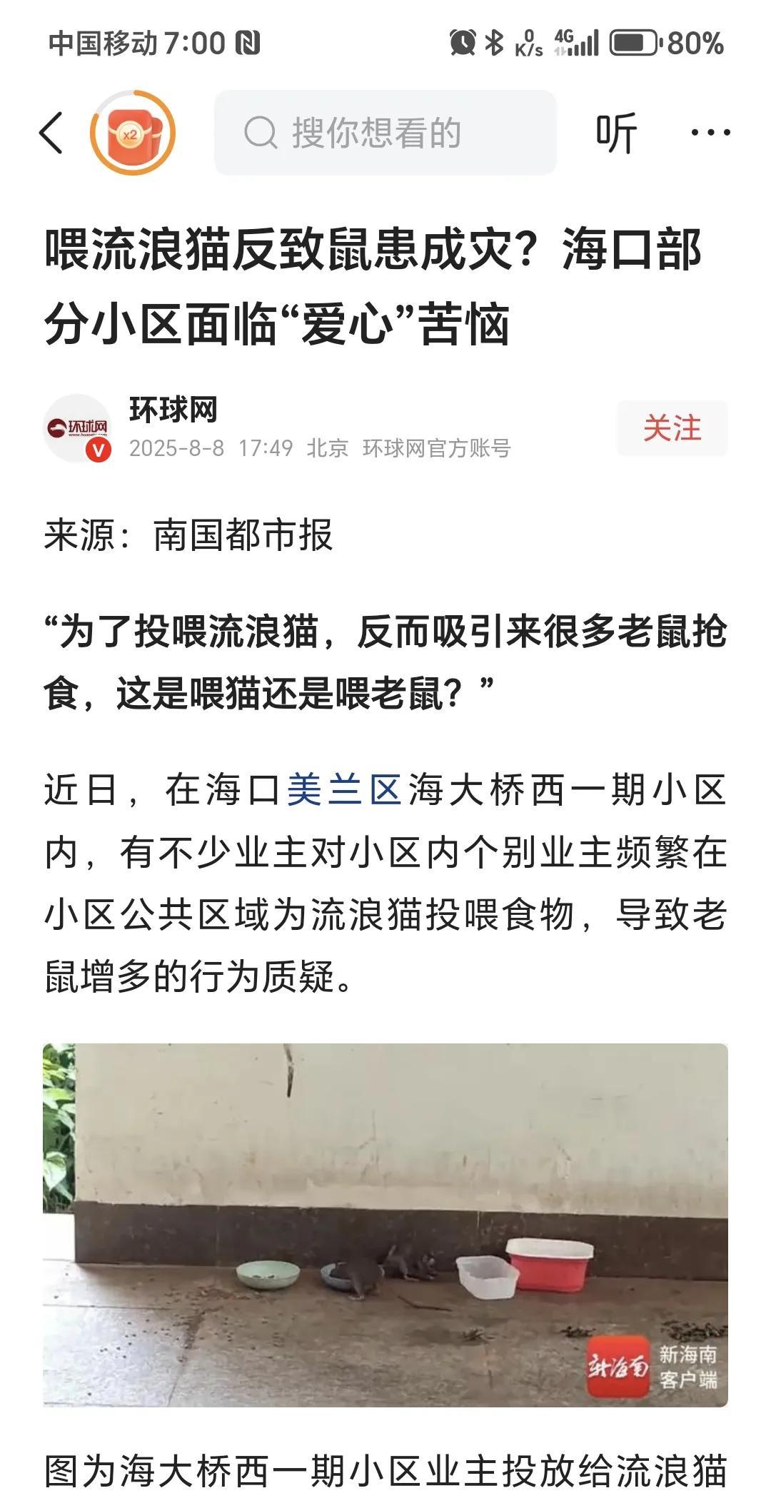喂流浪猫反导致鼠患？
环球网发布的文章，消息来自南国都市报。
投喂人声称投喂流浪