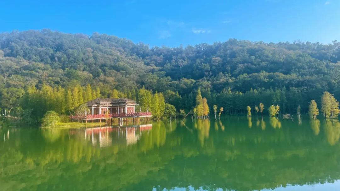 管善建：新会石涧公园赞