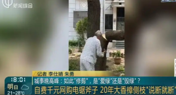 5月27日，上海这群老头闷声“干了件大事”，自费网购电锯斧子，把小区里20多年的