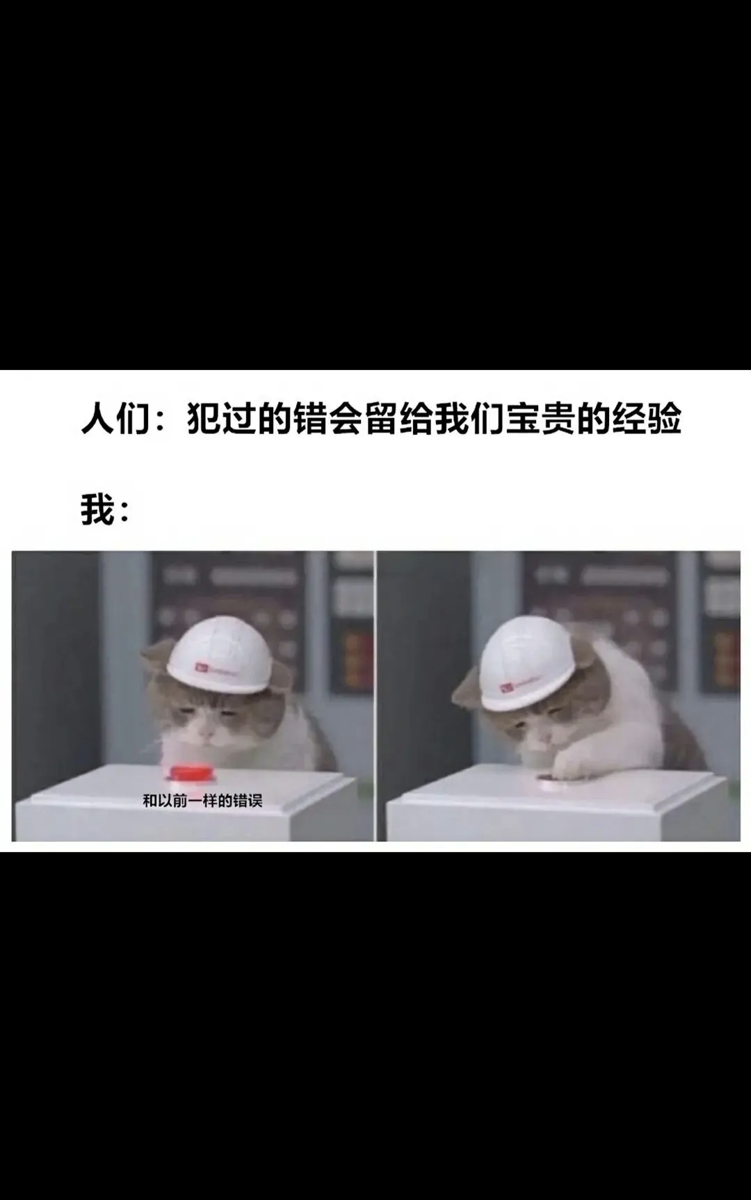 犯过的错还会在犯嘛