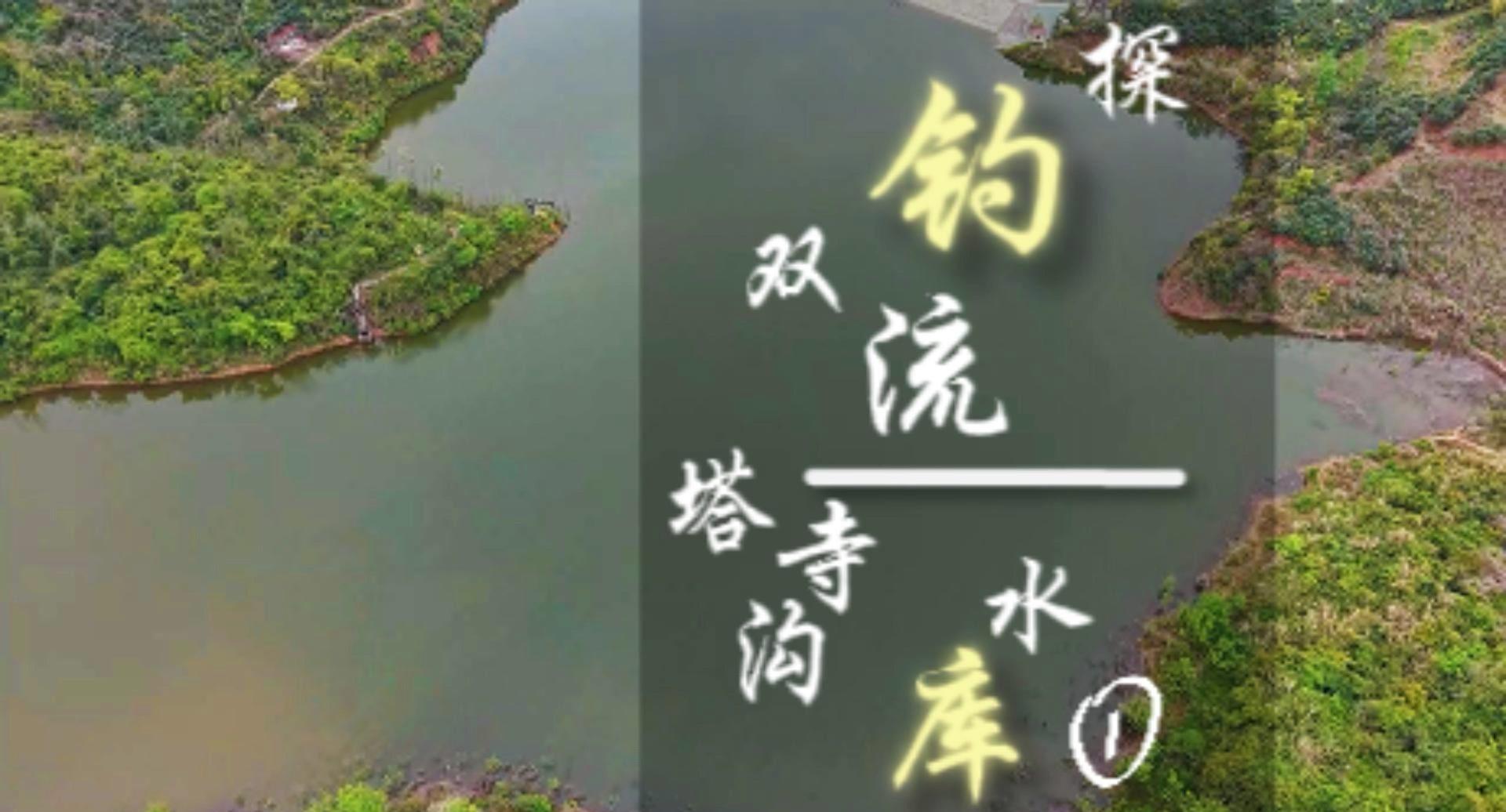 双流塔斯沟水库，隐匿山间，已有三十余载，鲜为人知。不少钓鱼爱好者称库中仅有白条，