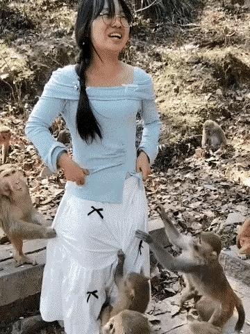 开始还笑呢
后面给吓哭了吧
猴子这个生物差一点点就进化成人类了
你还能小看它们不