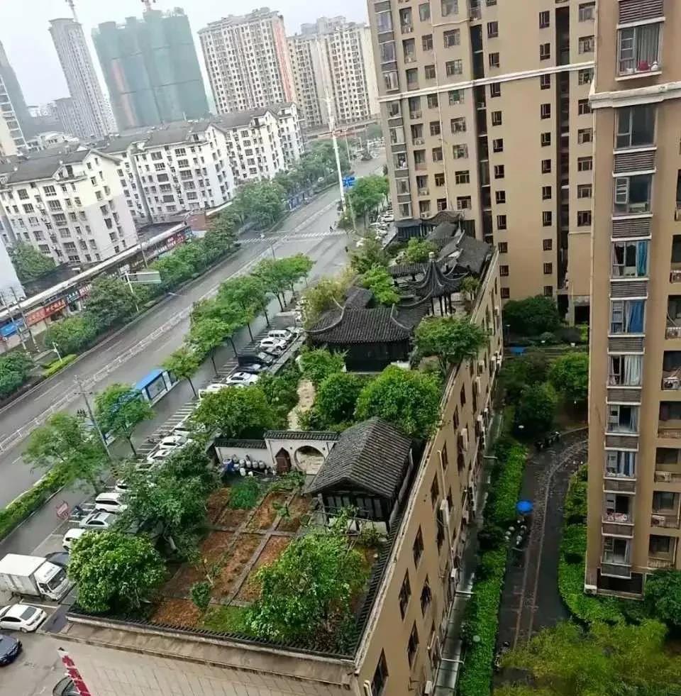 这是不是违建？