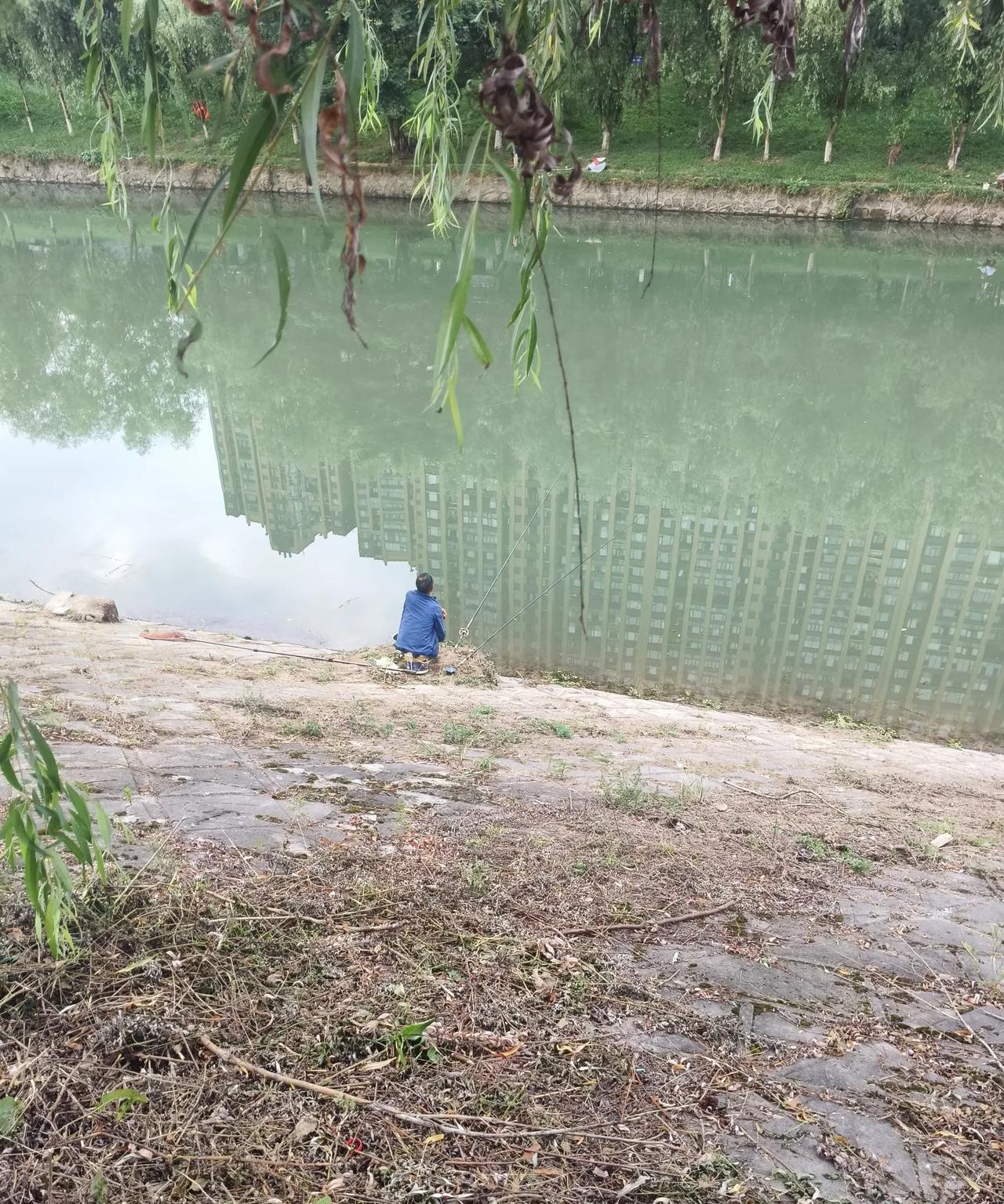 早上6:50沿着河边走路锻炼的时候，又看到了钓鱼人的身影。
你在网上可以看到钓鱼