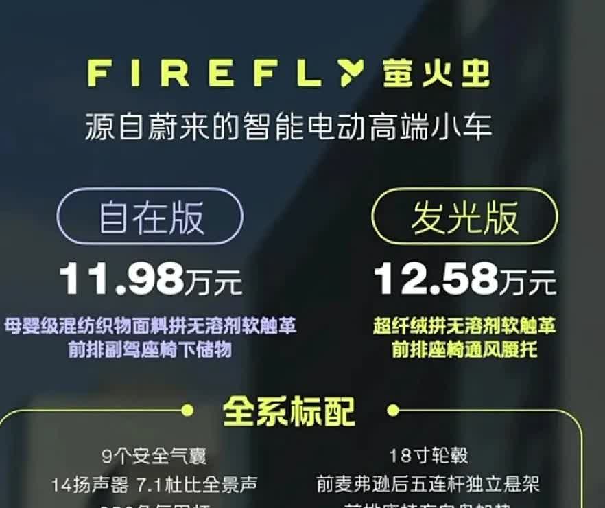 买电车不是应该最看重中是电池和电机吗？那些有得没的配置或许只是锦上添花罢了！
