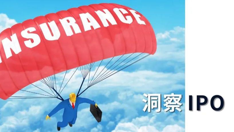 白鸽在线IPO：低价推广拉动增长，遮掩支付延迟险详情意欲何为？