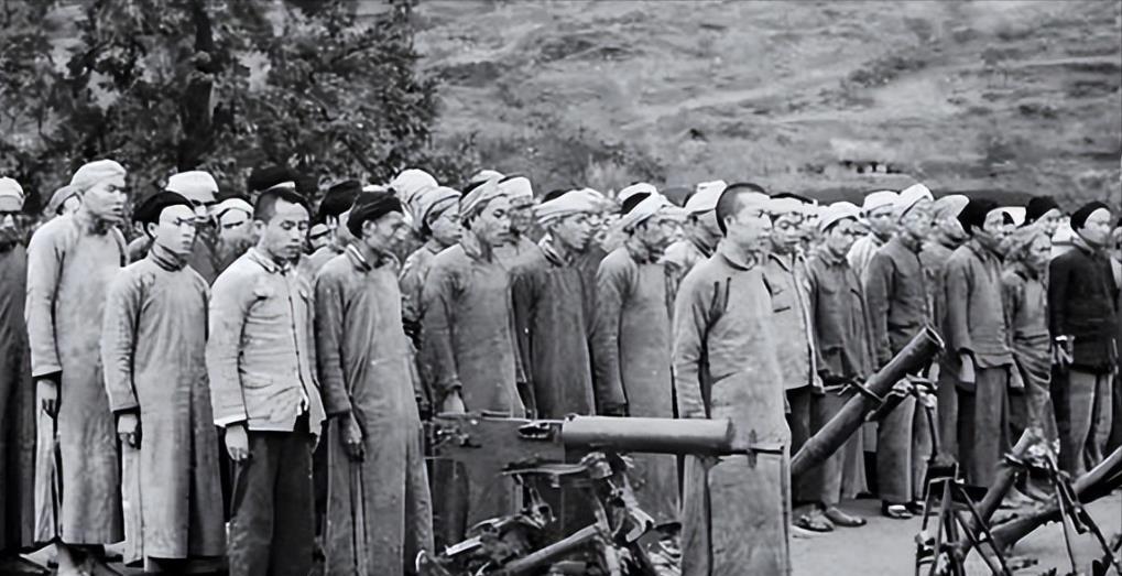 1950年7月底，由20多名武汉女大学生组成的南下工作队，在广西荔浦被土匪截杀，