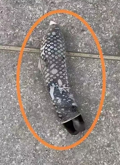 马路上看到这么一个玩意，有谁知道这是什么吗
