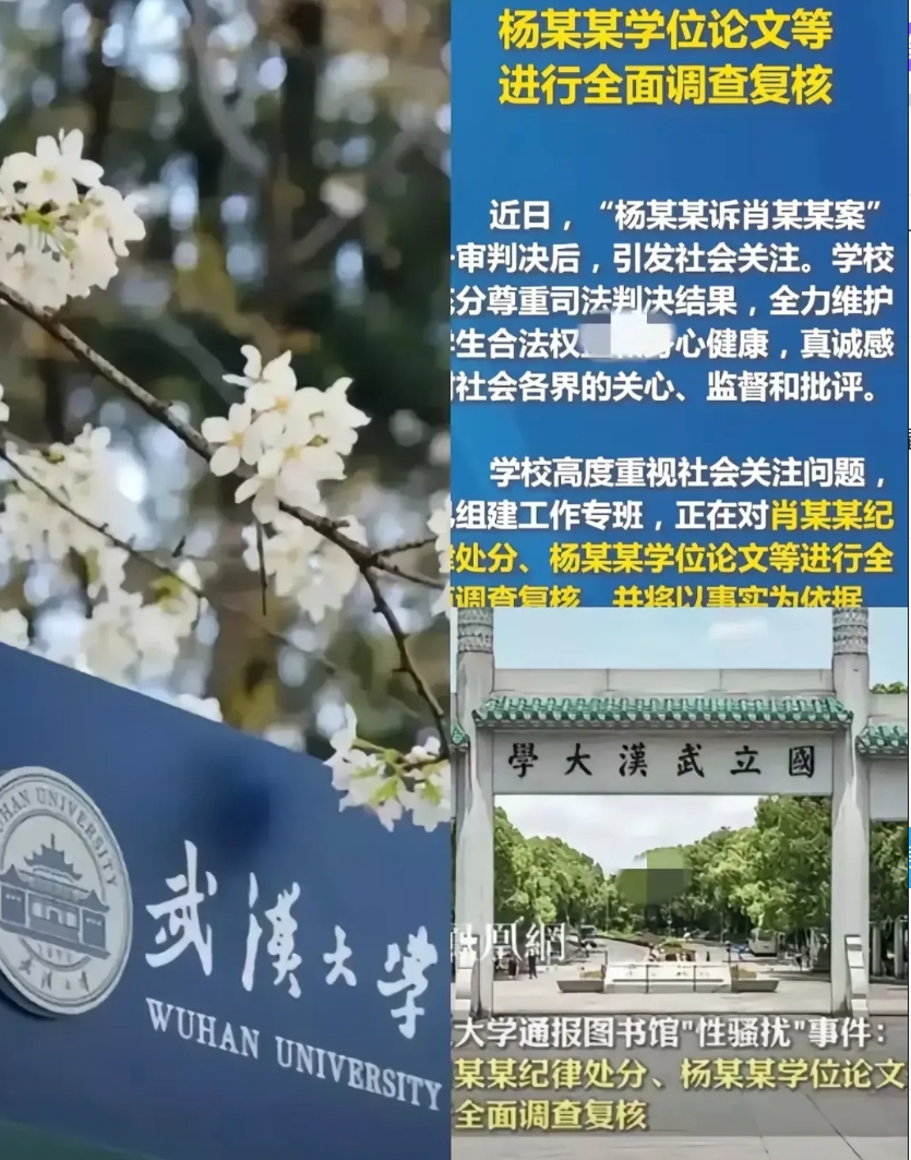 武汉大学杨景媛打响“咬人”第一枪！直接放出和辅导员的对话录音！原来这就是她说的握