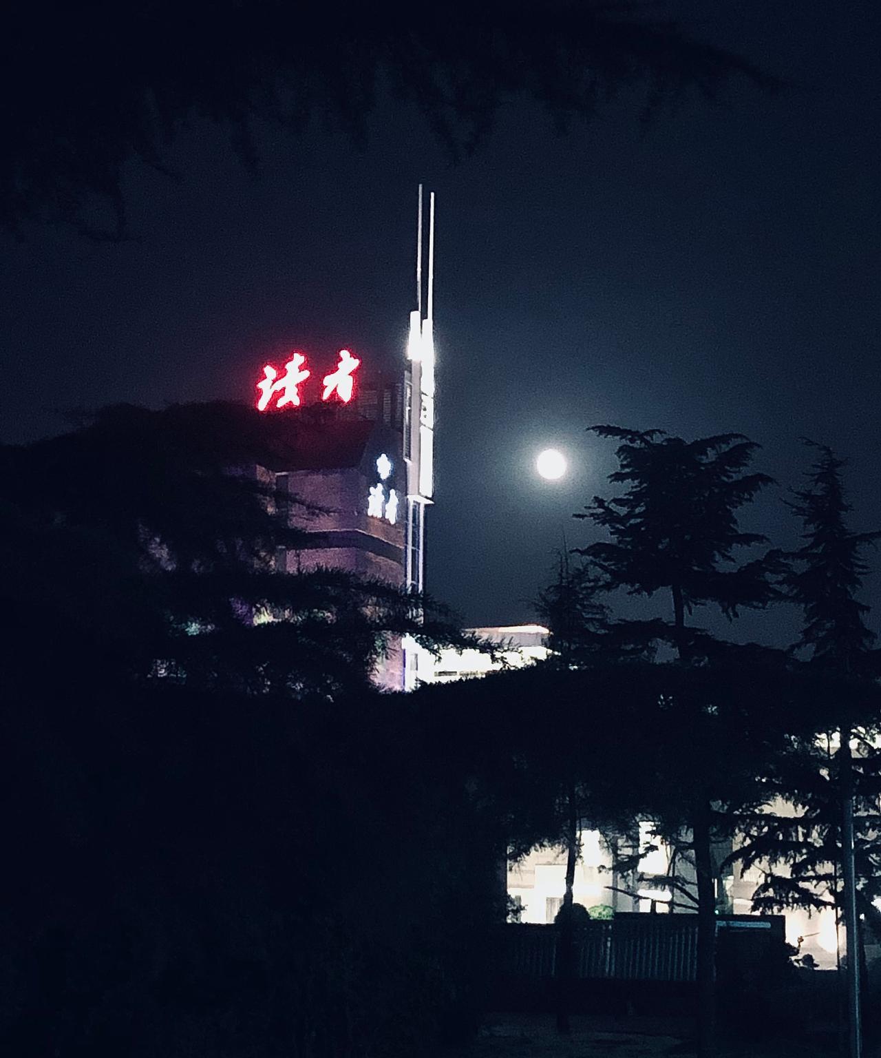 树上的蝉为什么事情吵吵嚷嚷？鸟儿要扇动几次翅膀才能飞翔？蝴蝶和花在悄悄说些什么？
