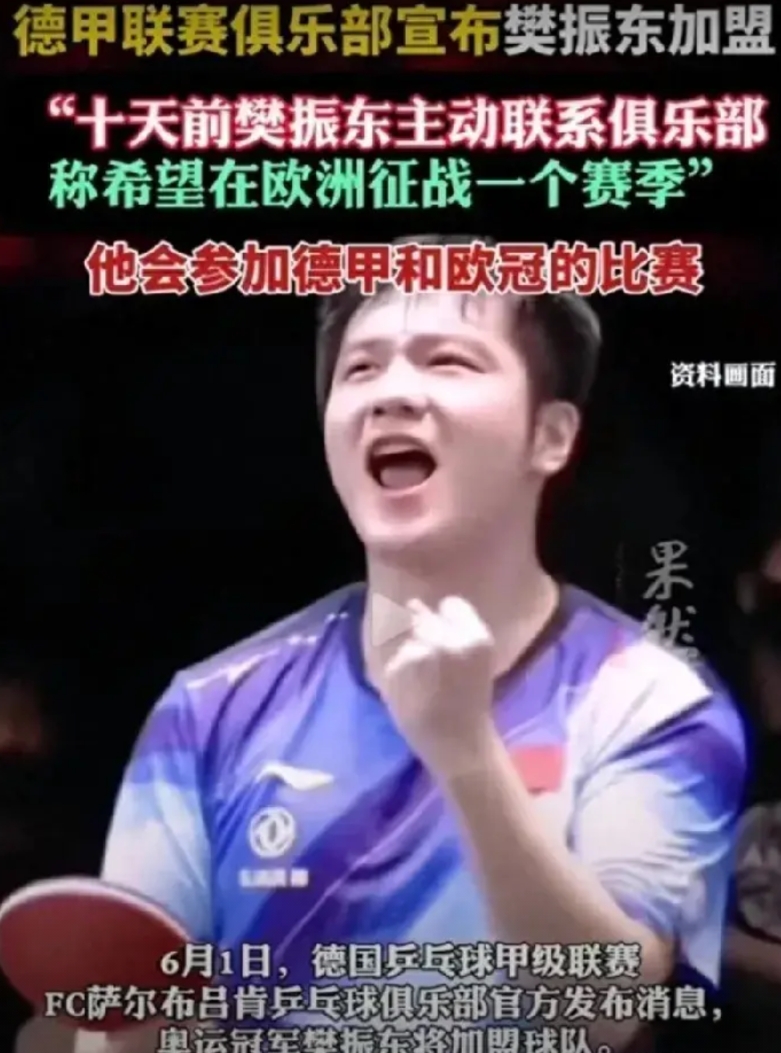 娱乐圈的“乱”我能理解

体育圈也“乱”就有点理解不了

前有朱婷远走海外，后有