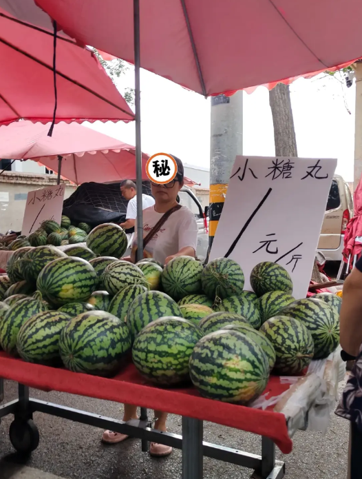 西瓜价又意想不到。
6月24日，今早上我路过西安龙首村早市，留意了一下水果，发现
