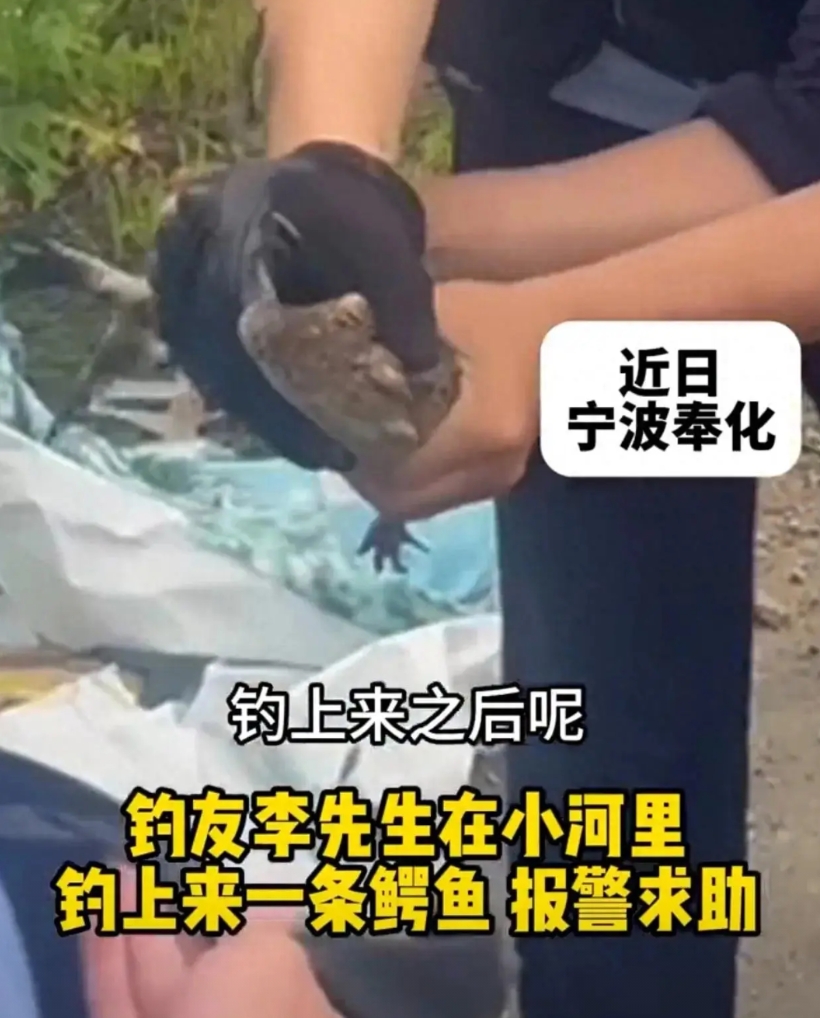 “离了个大谱！”近日，浙江宁波，一男子在河边钓鱼时，觉得手上的鱼竿非常沉重，他以