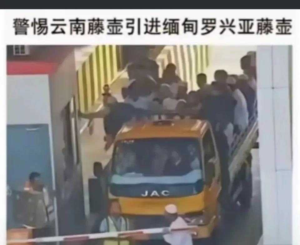 缅甸地震罗兴亚人涌入瑞丽
我的天，缅甸一地震，罗兴亚人就往瑞丽跑！据说，瑞丽现在