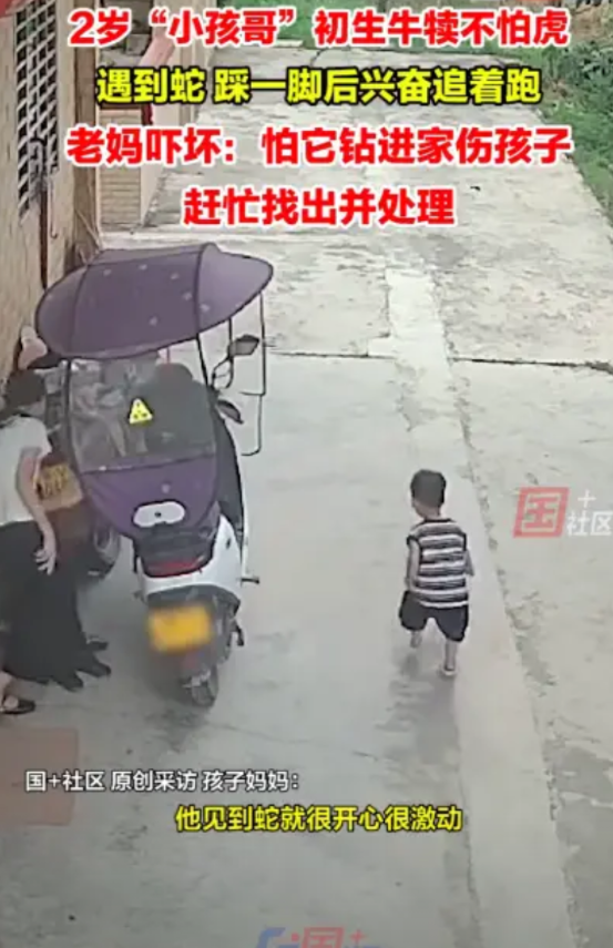 “初生牛犊不怕虎！”2岁小孩发现地上有条蛇，一边冲妈妈喊，一边追着蛇踩！妈妈反应