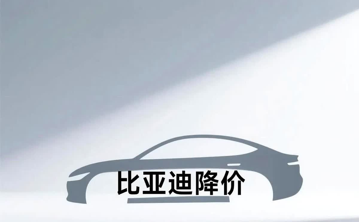 大家有没有发现一个问题。

比亚迪虽然两个月三次降价促销。

但是都只是