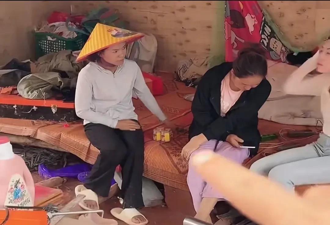 只要有美女出现，小陈就会兜售“老虎膏”。
这次也不例外，因为小美的堂妹来了。不得