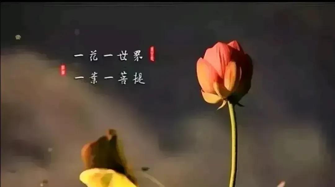 凡事发生，皆有利于我。
允许一切的发生，允许自己走错路，允许自己看错人。
所有发