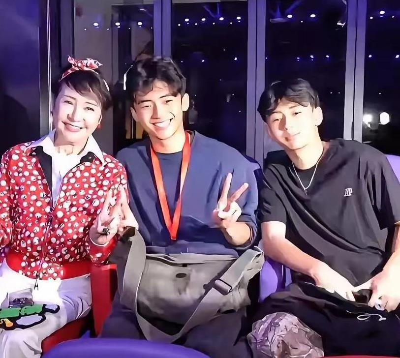 张柏芝让两儿子现身谢霆锋演唱会，非为支持父，而是让王菲见证其教育有方，两儿子表现