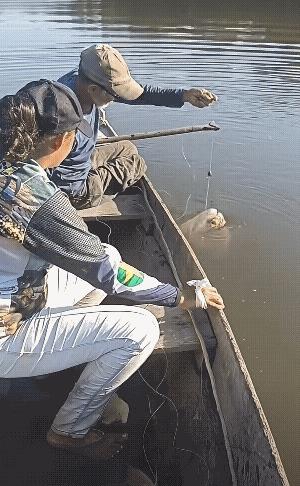 鱼：一共砍了我五刀，这个仇必须报![捂脸][祈祷]
这鱼不打晕 估计要脱钩![大