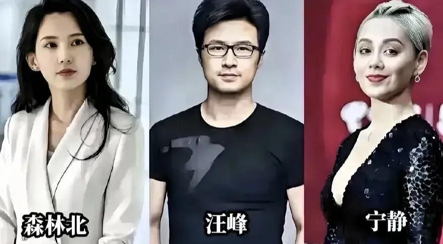 这几天，汪峰牵手宁静，但绝对不是为了“宁静”，因为他为了怒放的生命。
汪峰有才有