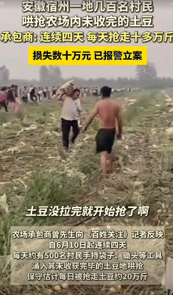 这种肮脏行为真的给宿州丢人，给安徽抹黑！安徽宿州出名了，宿州解集镇也出名了！
一