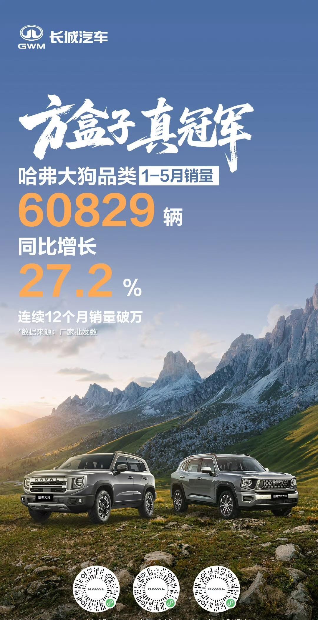 #长城汽车未来的出路在哪里# #哈弗大狗方盒子销量冠军# 
1-5月品类销量60