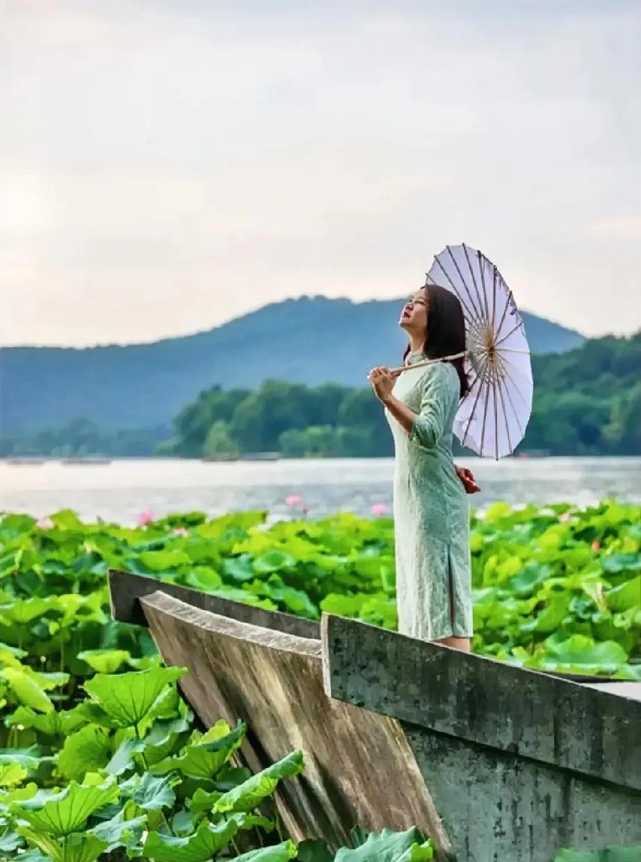 文/素荷
#江南意蕴 #素荷雅韵