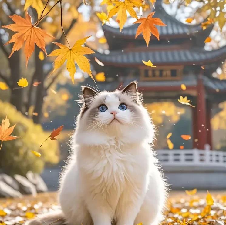 小伙伴们，咱养猫的肯定都有过这样的疑惑：这猫咪天天大晚上不睡觉，悄咪咪地在家里晃