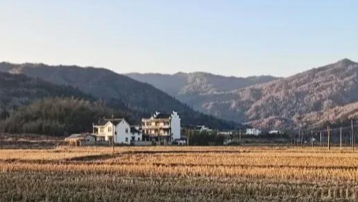 昨晚的家庭生活手记