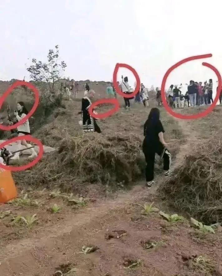 这些小网红搞直播的到处都是，有那么赚钱吗？