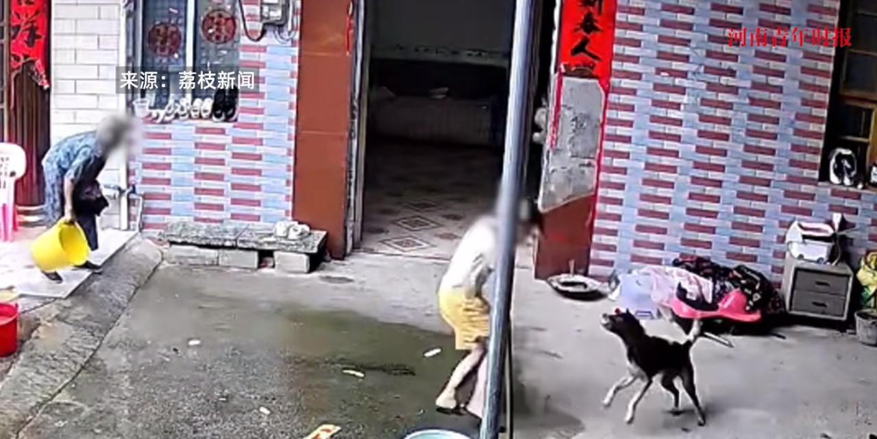 悲剧还是发生了！6月10日，湖南永州，一个小女孩在屋里找零食的时候，突然被一只流
