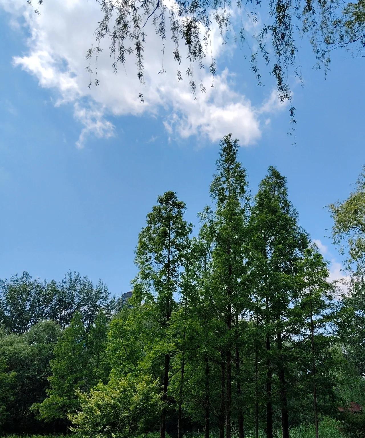 #晒晒家乡的天空#